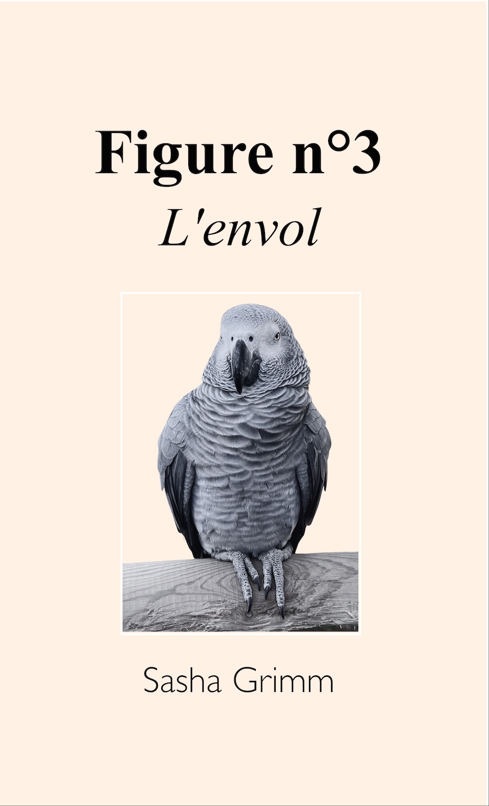 Figure n°3 — L'envol