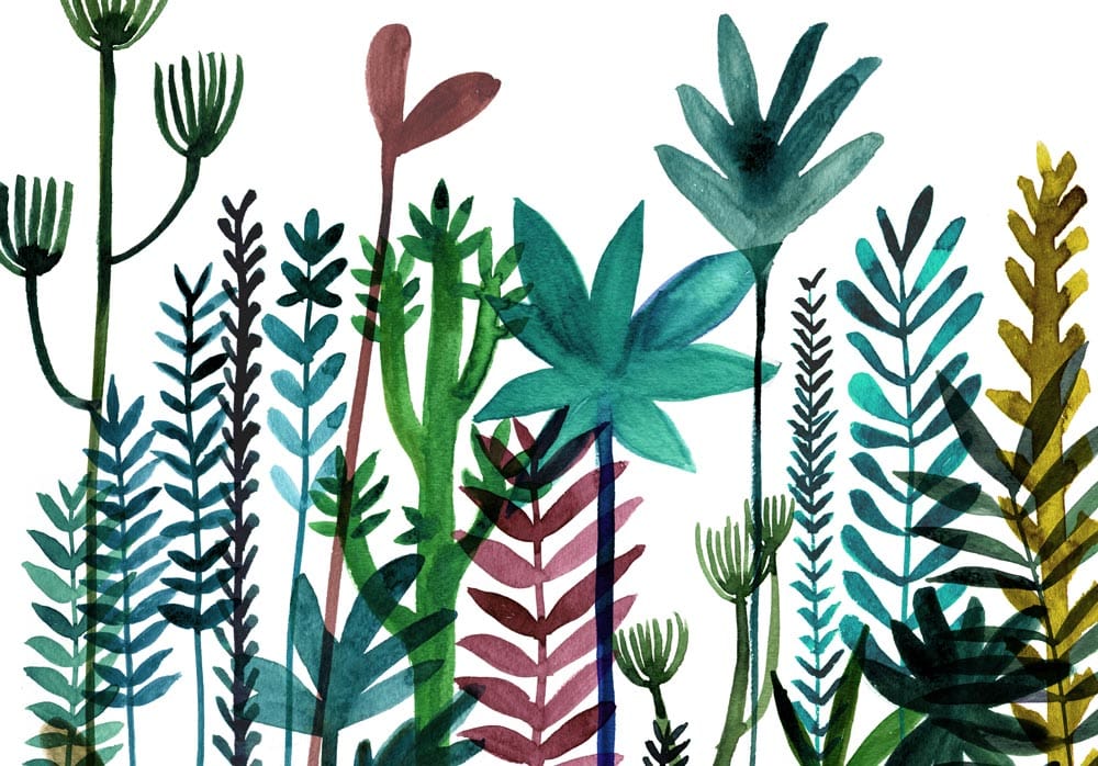 Illustration