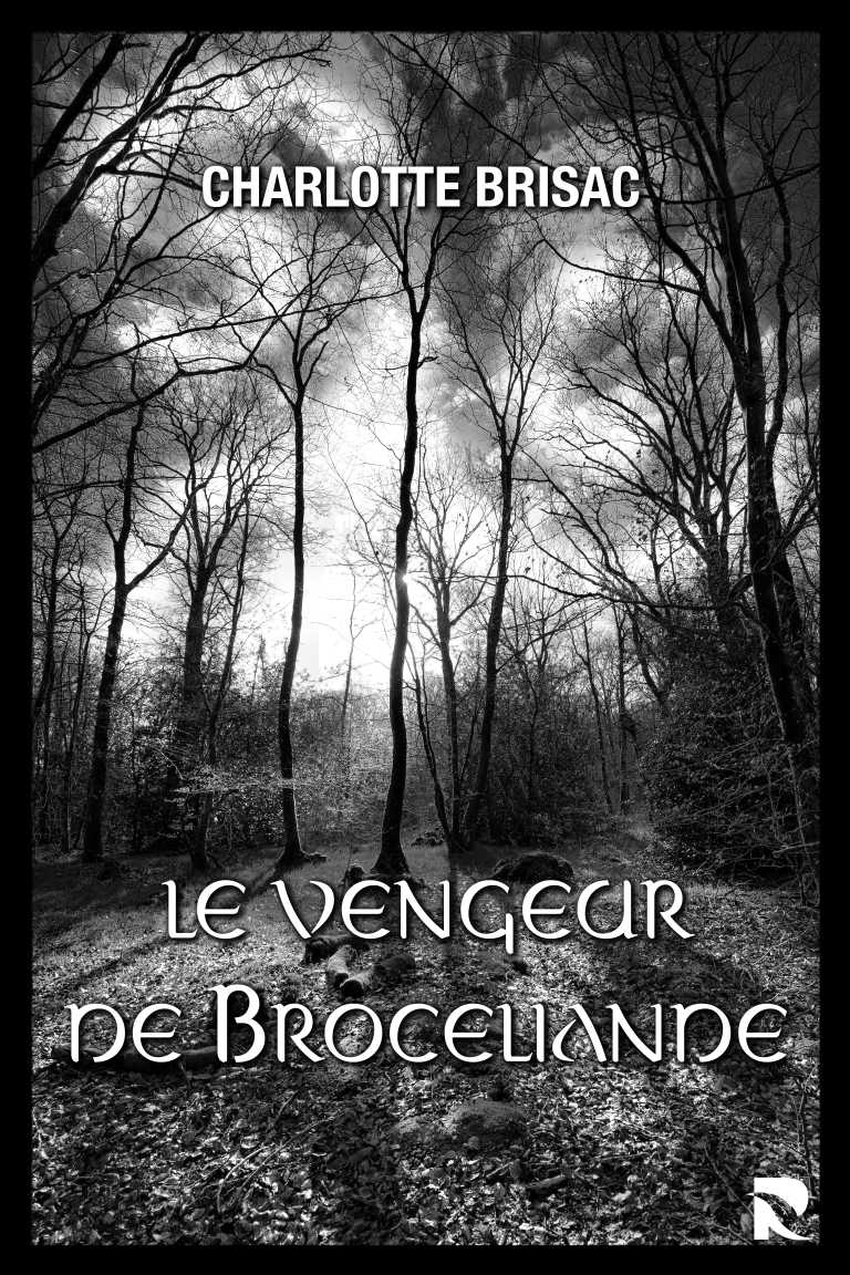 Le Vengeur de Brocéliande