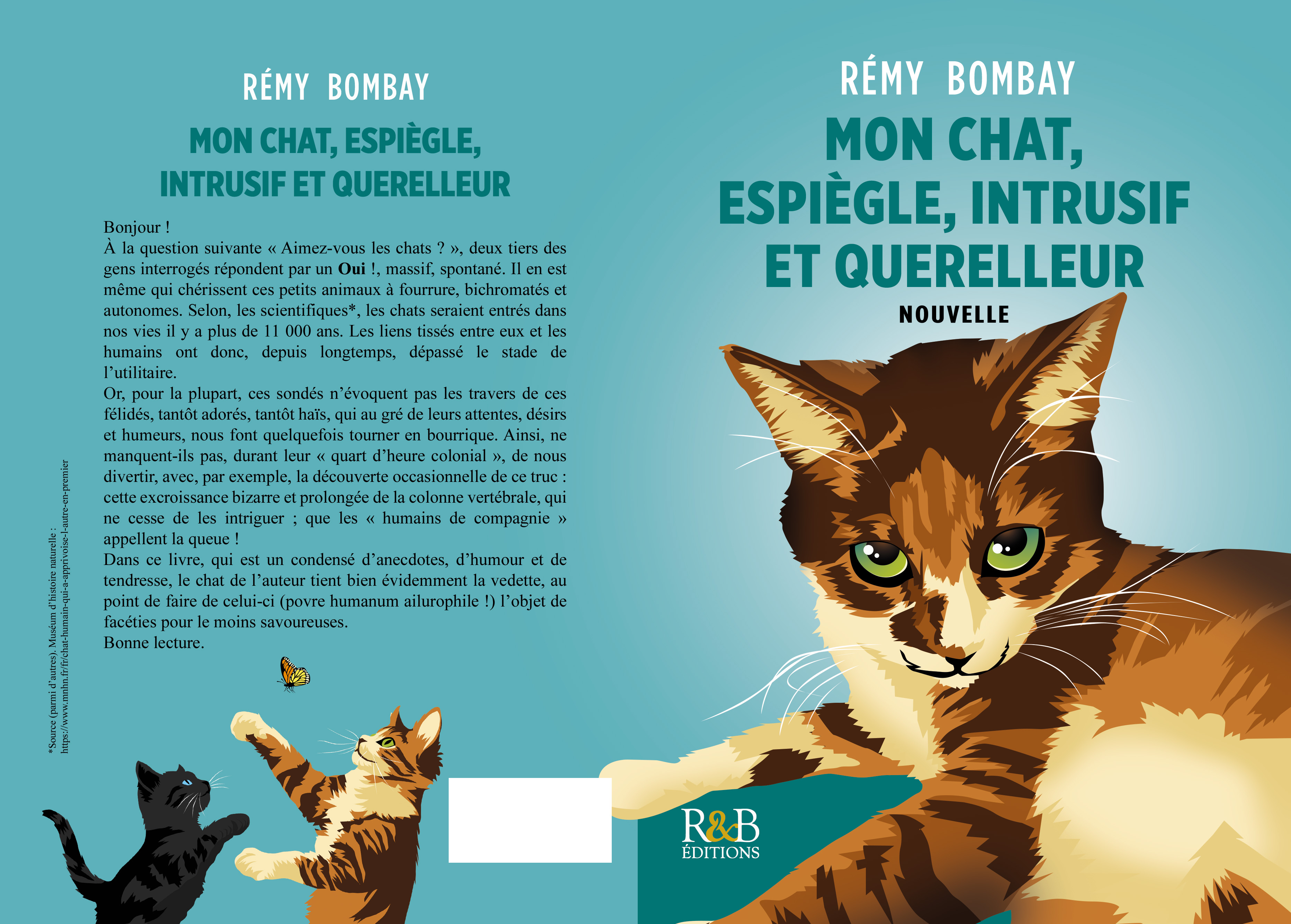 Mon chat, espiègle, intrusif et querelleur